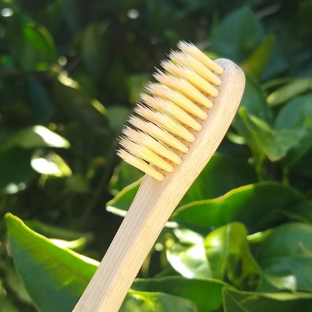 Escova de dente de bambu com cerdas claras em meio a folhas verdes.