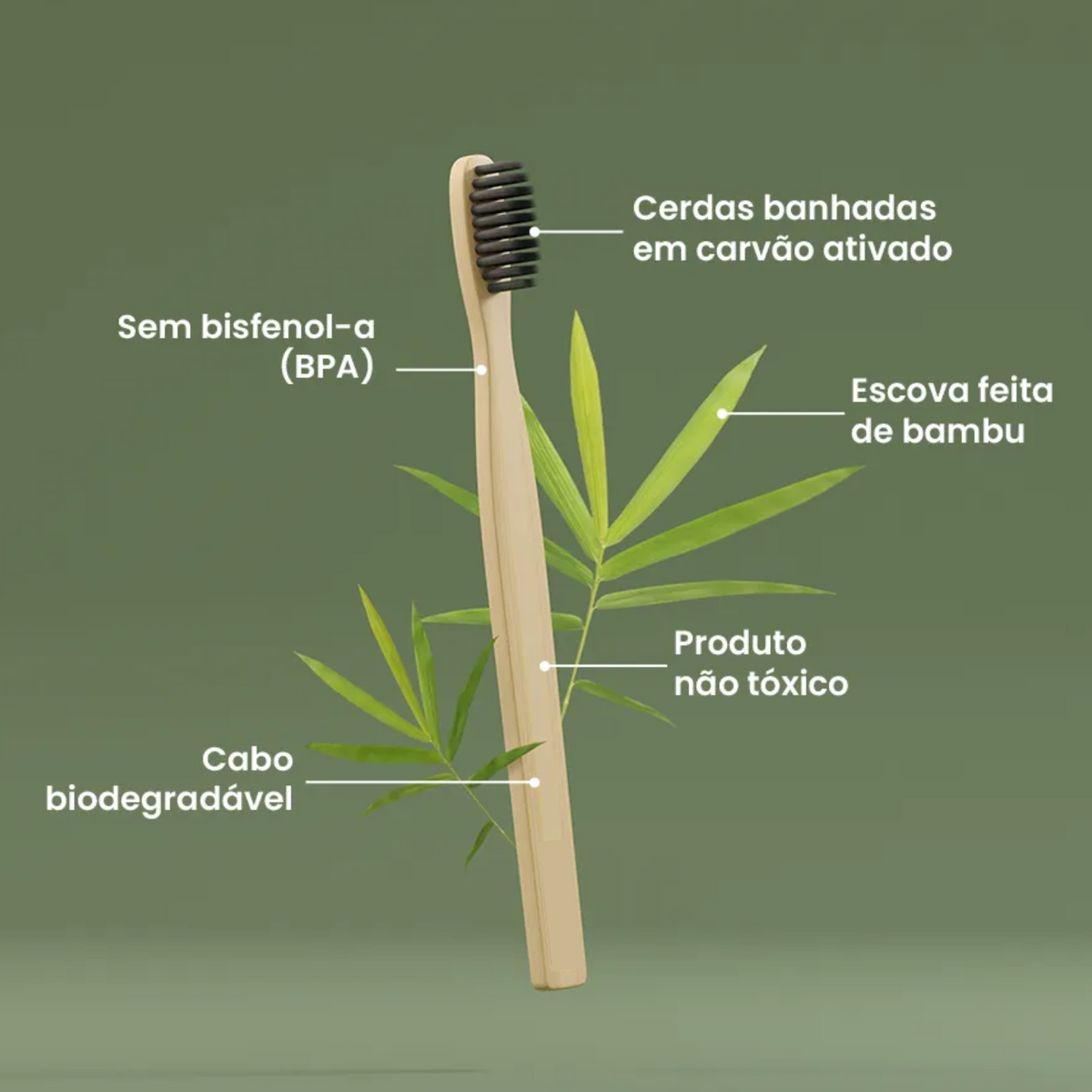 Escova de dente de bambu destacando o cabo biodegradável e as cerdas de carvão ativado.